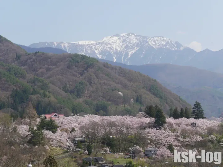 日帰りで電車とバスで高遠城址公園の桜を見物してきたのサムネイル