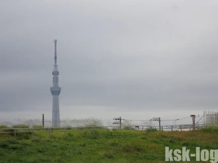 荒川河川敷をインラインスケートで滑走してきましたのサムネイル